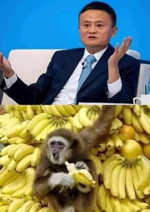 Munca sau Afaceri, ce alegi?